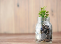 Dividend versus growth investing – which option suits you?